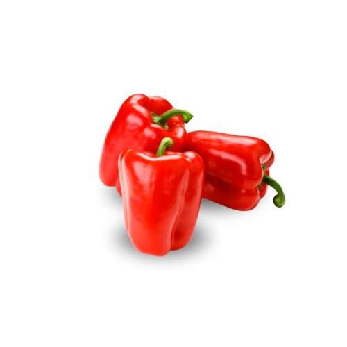 Bell Pepper - Red