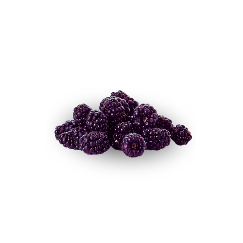 Blackberries