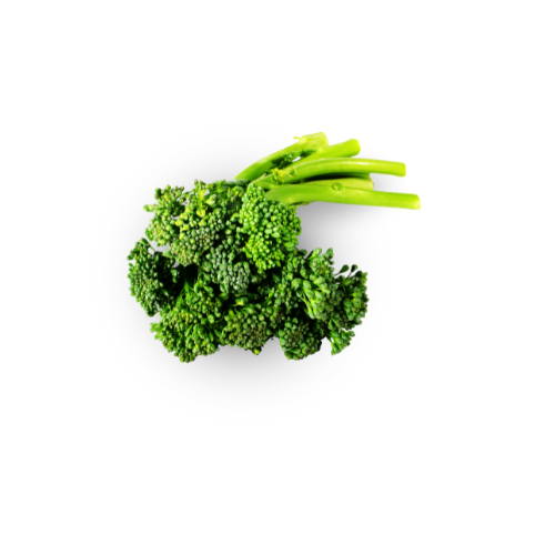 Broccolini