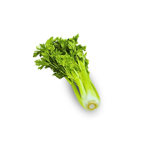 Celery