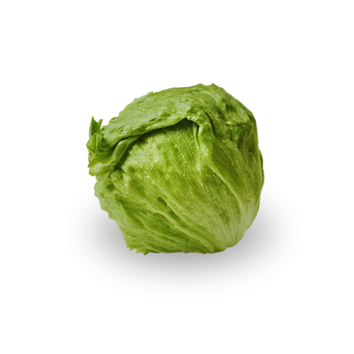 Lettuce - Iceberg