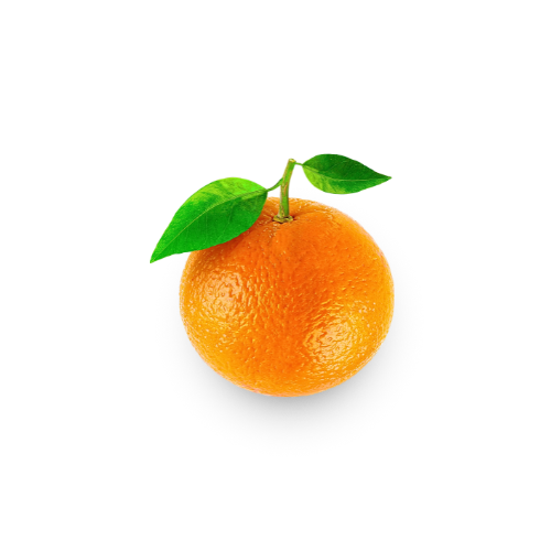 Citrus - Orange