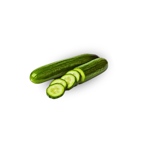 Cucumber - Persian