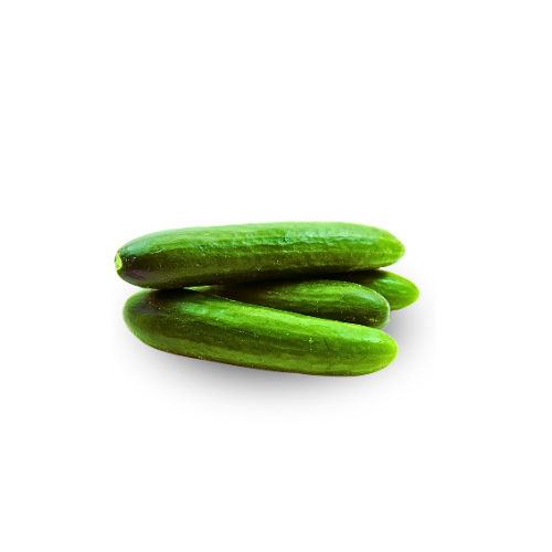 Cucumber