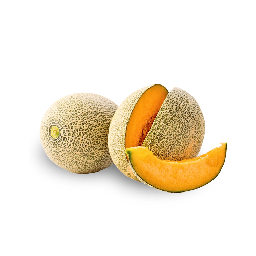 Melon - Cantaloupe #2