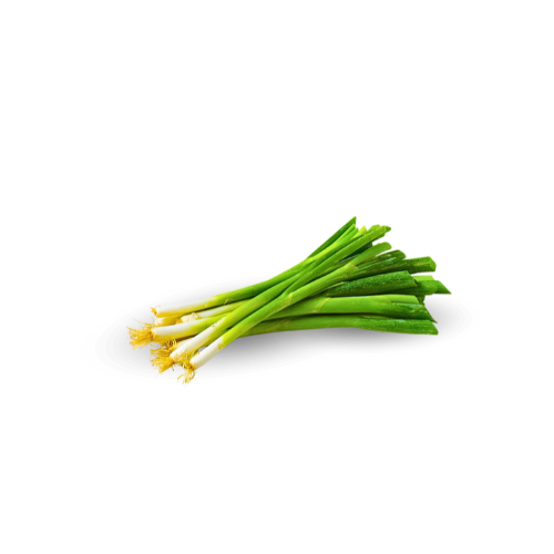 Onion - Green