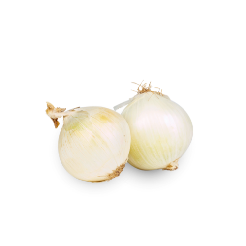 Onion - White Jumbo