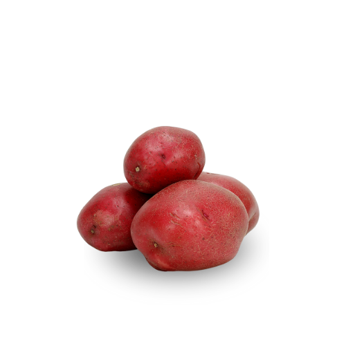 Potato - Red