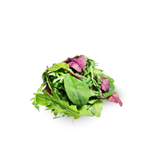 Spring Mix - Mesclun