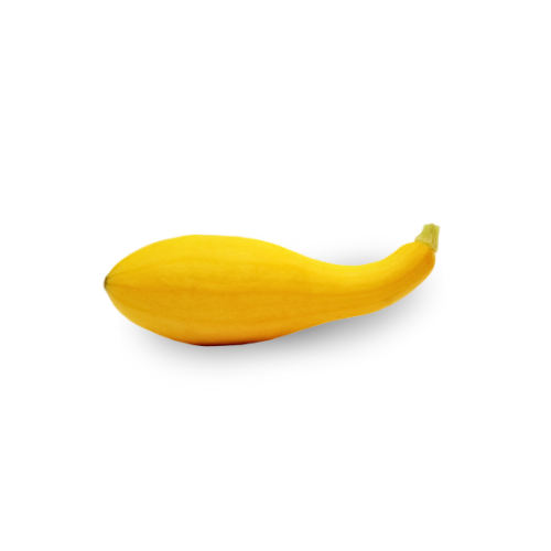 Squash - Yellow Fancy