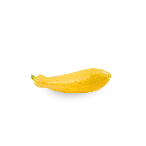 Squash - Yellow Medium